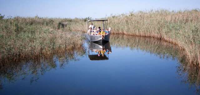 /wp-content/uploads/2022/07/kosi-forest-lodge-isimangaliso-wetland-4.jpg