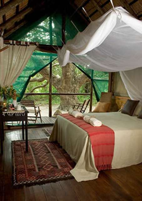 /wp-content/uploads/2022/07/kosi-forest-lodge-isimangaliso-wetland-5.jpg