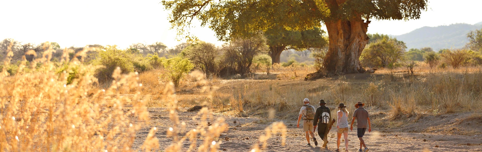 /wp-content/uploads/2022/07/kwihala-walking.jpg
