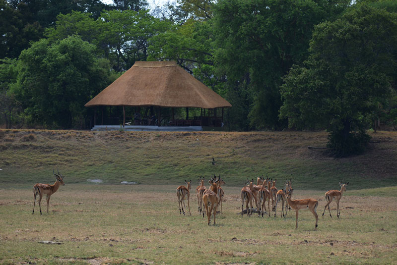 https://www.trackssafaris.co.uk/wp-content/uploads/2022/07/lake-camp-.jpg