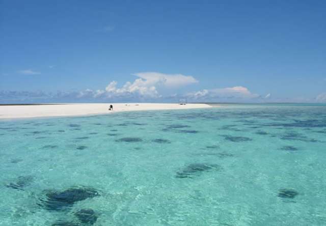 /wp-content/uploads/2022/07/mafia-island-lodge-south-east-mafia-9.jpg