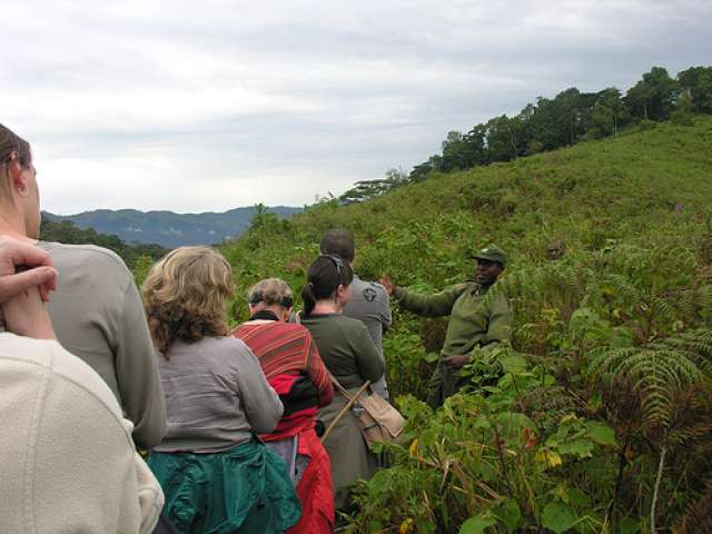 /wp-content/uploads/2022/07/mantana-engagi-lodge-buhoma-bwindi-5.jpg