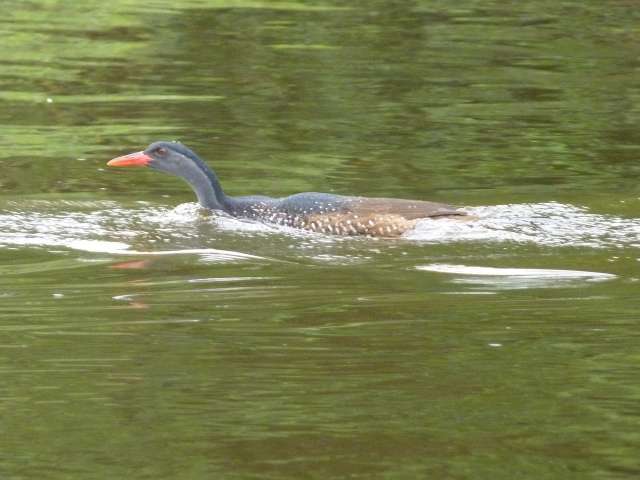 /wp-content/uploads/2022/07/mantana-lake-mburo-camp-lake-mburo-np-3.jpg