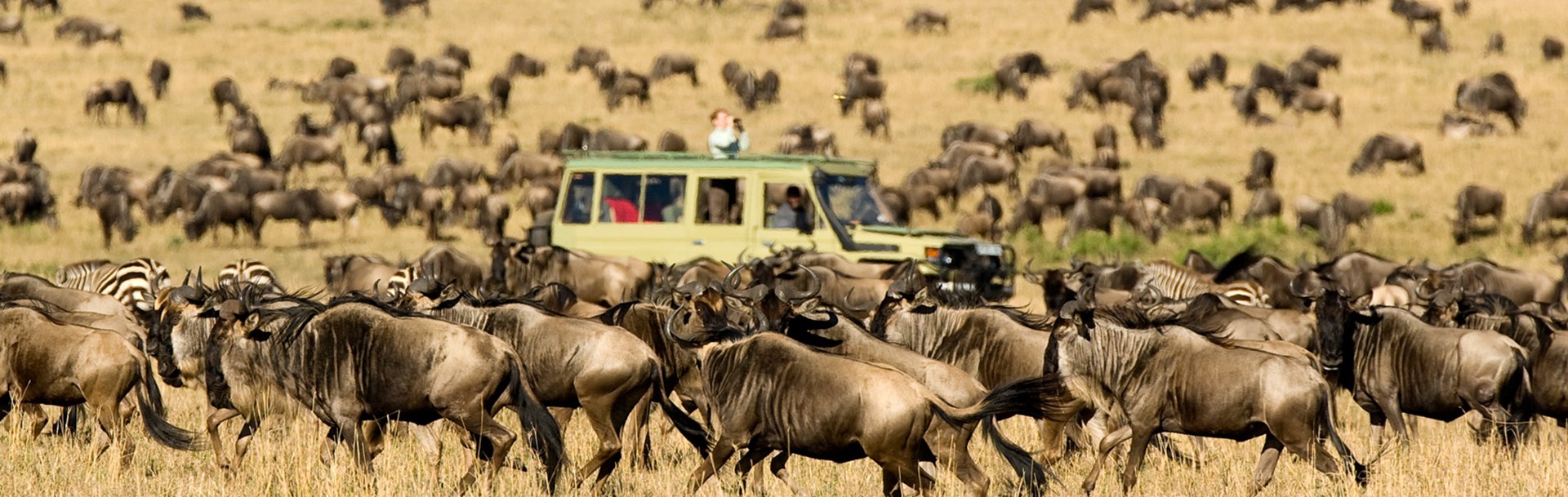 /wp-content/uploads/2022/07/most_popular_for_great-migration.jpg