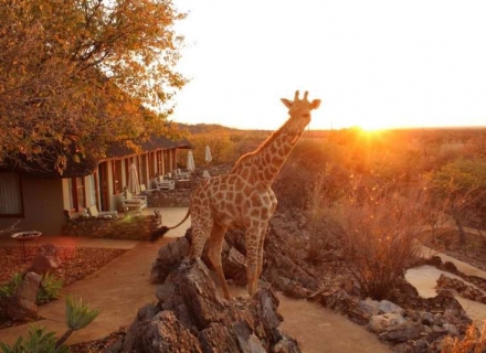 Okutala Lodge – Etosha National Park