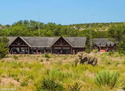 Hobatere Lodge – Etosha