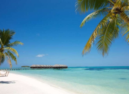 Lux* – South Ari Atoll