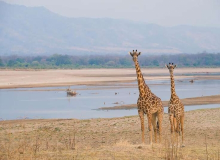 Last Minute Zambia