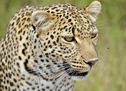 Botswana and Namibia – Natural Selection