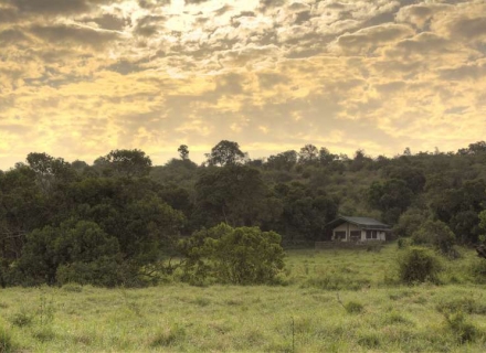 Kicheche Mara Camp – Mara North Conservancy – Masai Mara