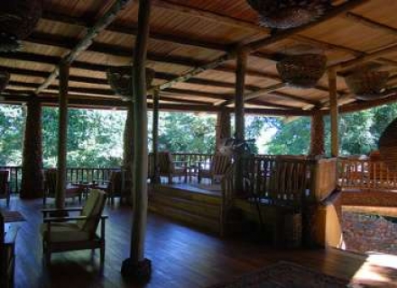 The Rainforest Lodge, Mabera Forest NP