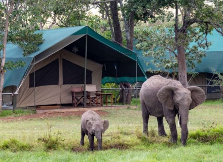 Little Governors’ Camp – Masai Mara Reserve