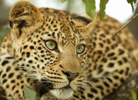 15 Night Luxury Self Drive and Flying Safari – South Africa and Mozambique