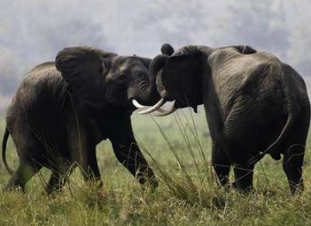 21 Night Luxury South African Extravaganza – A Private Journey