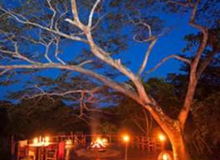 Kosi Forest Lodge – Isimangaliso Wetland