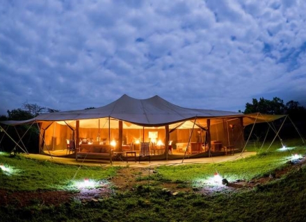 Porini Lion Camp – Olare Motorogi Conservancy – Masai Mara