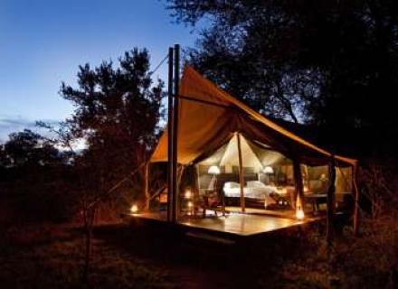 Rhino Walking Safaris – Kruger Private C