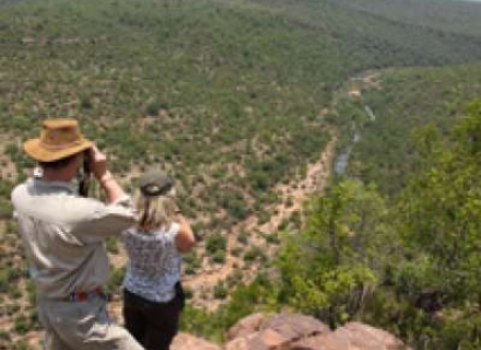 Ant’s Bushcamp – Waterberg Region
