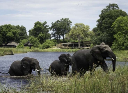 Kings Pool – Linyanti Concession