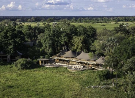 Mombo Camp Mombo Concession Okavango Delta