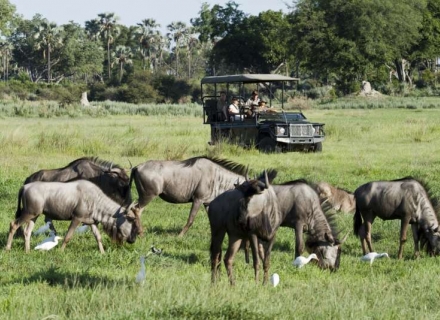 Chitabe Camp – Chitabe Concession – Okavango Delta