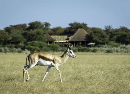 Kalahari Plains Camp – Central Kalahari Reserve