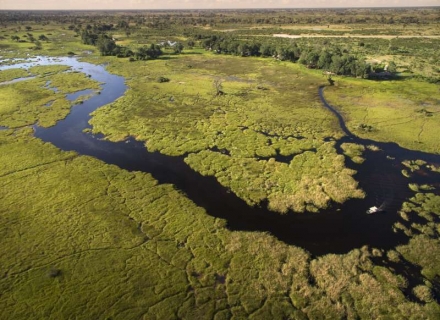 Duba Plains Camp – Duba Plains Reserve – Okavango Delta