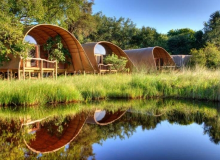 Okuti – Moremi Game Reserve – Okavango Delta