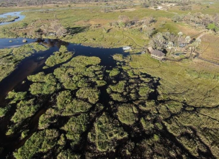 Gunn’s Camp – Chief’s Island – Okavango Delta