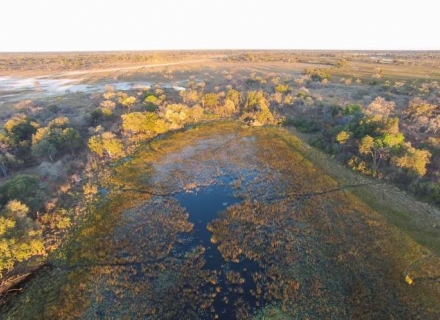 Kwando Pom Pom Camp – Pom Pom Island – Okavango Delta