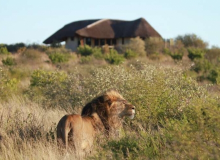 Kwando Tau Pan – Central Kalahari Game Reserve