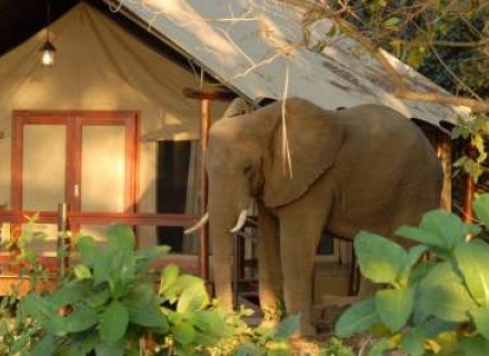 Lugenda Wilderness Camp – Niassa Wildlife National Reserve