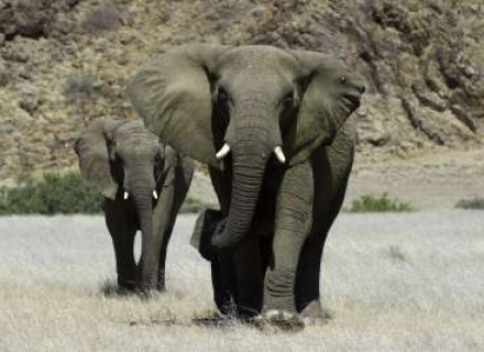 16 night Namibian Journey – Self Drive or Guided