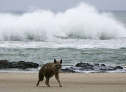 9 night Diverse Namibia – Small Group Set Date Safari