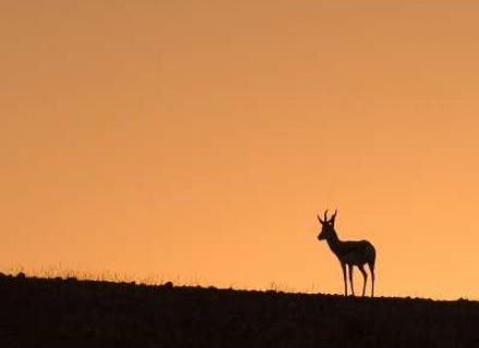 9 night Desert Dune Safari – Small Group Set Date Safari