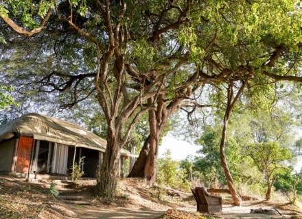 Vundu Camp – Mana Pools National Park