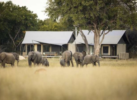 Linkwasha Camp – Hwange National Park