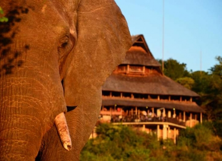 Victoria Falls Safari Lodge – Victoria Falls