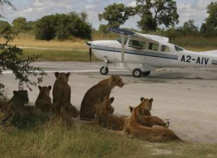 10 Night Best Of Zimbabwe And Zambia