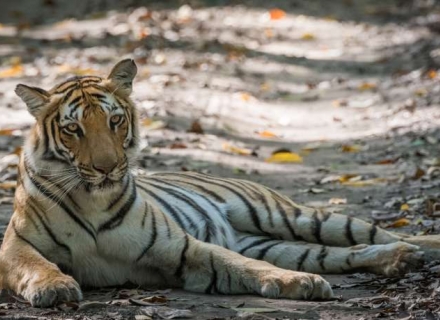14 Nights A Luxurious Wilderness Holiday