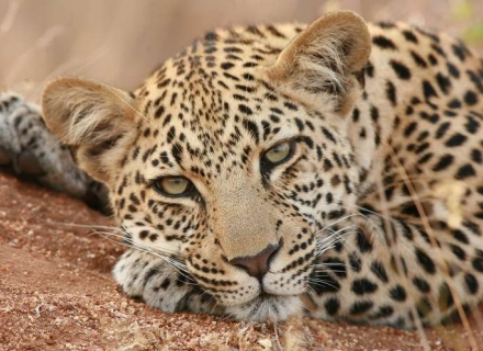 12 night &Beyond Flying Safari – A Private Journey