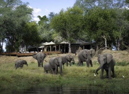 Ruckomechi Camp – Mana Pools National Park
