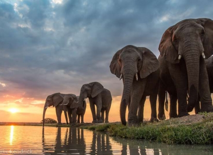 Jabulani – Kapama Game Reserve