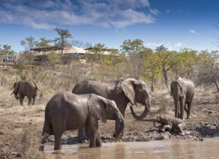Elephant Camp – Victoria Falls
