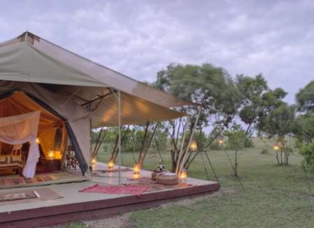 Saruni Wild – Lemek Conservancy – Masai Mara