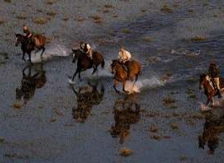 11 Night Okavango Delta Horseback Adventure