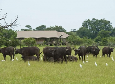 Toka Leya Camp Livingstone