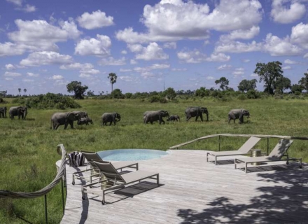 Little Mombo Camp Mombo Concession Okavango Delta
