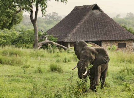 Beho Beho – Selous Game Reserve