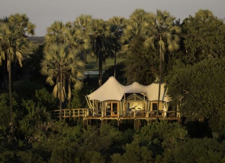 Kwetsani Camp – Jao Concession – Okavango Delta